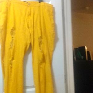 Plus size 24 gold distress pants